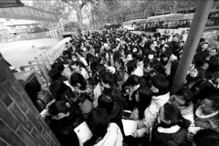 南京8000人新年赶考争当教师